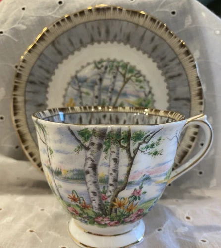 Vintage Royal Albert Silver Birch Tea Cup & Saucer Set Fine Bone China England