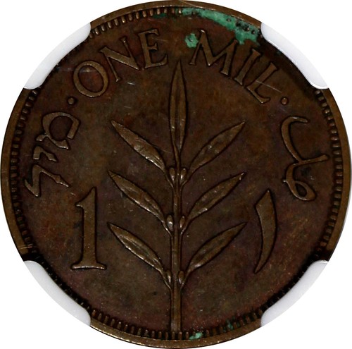 PALESTINE British Mandate Bronze 1937 1 Mil NGC AU DET. KEY RARE DATE KM# 1 (03) - Picture 4 of 4