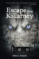 Escape From Killarney Angela Graham Taschenbuch Kartoniert / Broschiert Englisch