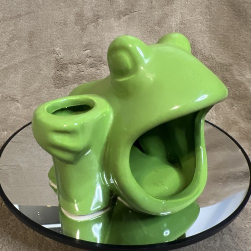 Ceramic Frog Sponge/Brush Holder Kitchen Tool - Picture 8 of 8