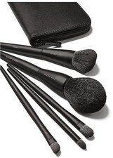 MARY KAY ESSENTIAL BRUSH COLLECTION 6 PIECE GIFT SET NEW WITH CASE
