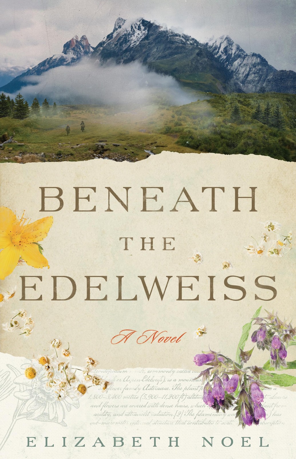 Beneath the Edelweiss A Novel by Elizabeth Noel (Paperback Book) - Image 4