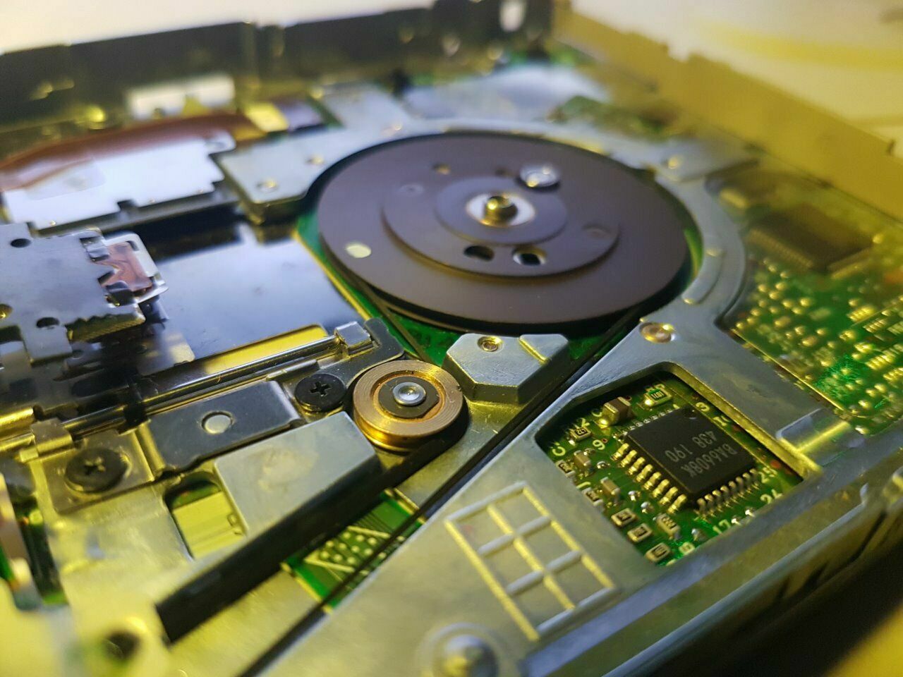 Flachriemen Laufwerksriemen für Citizen ZA0968P05 / V9DA71B Floppy