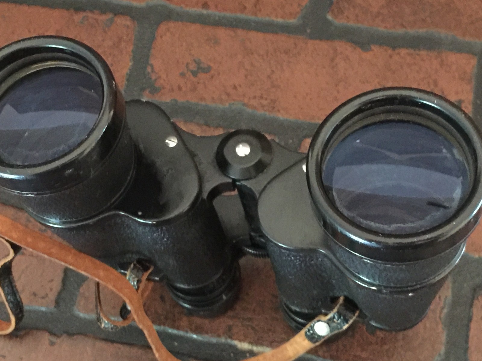 hoya binoculars