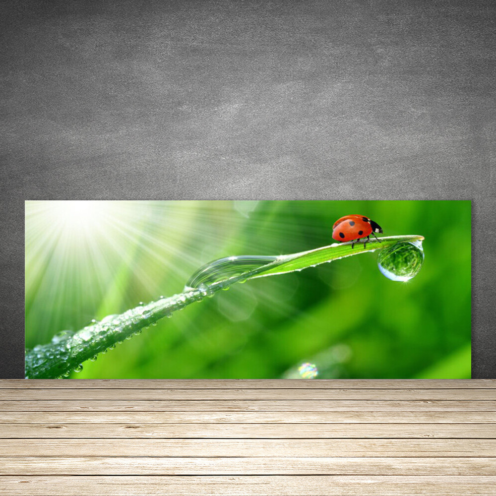 Crédence en verre haute résistance de 125x50 cm pour fond de hotte