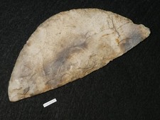 RARIT&Auml;T ERNTE SICHEL 136mm! STEINZEIT D&Auml;NEMARK NEOLITHIKUM CHALKOLITHIKUM SILEX