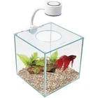 Glass Betta Kit Elegant Glass Aquarium for Homes or Offices