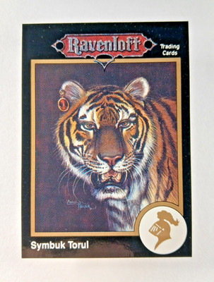 Symbuk Torul, Druid #90 Gold - Dungeons & Dragons card (1992 TSR) D&D Ravenloft