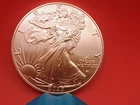 2025 W Eagle Privy American Silver Eagle 1 Ounce Brilliant Uncirculated