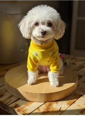 Velours-Sweatshirt für Hunde mit langen Ärmeln, Haustierkleidung