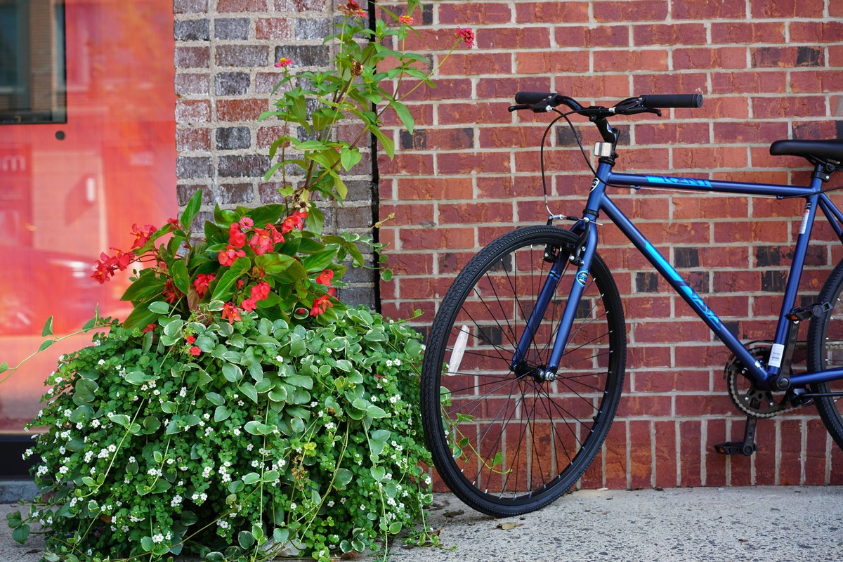 700C Kent Thruster Fixie Bike, 700C Wheels, Adults Ages 14+