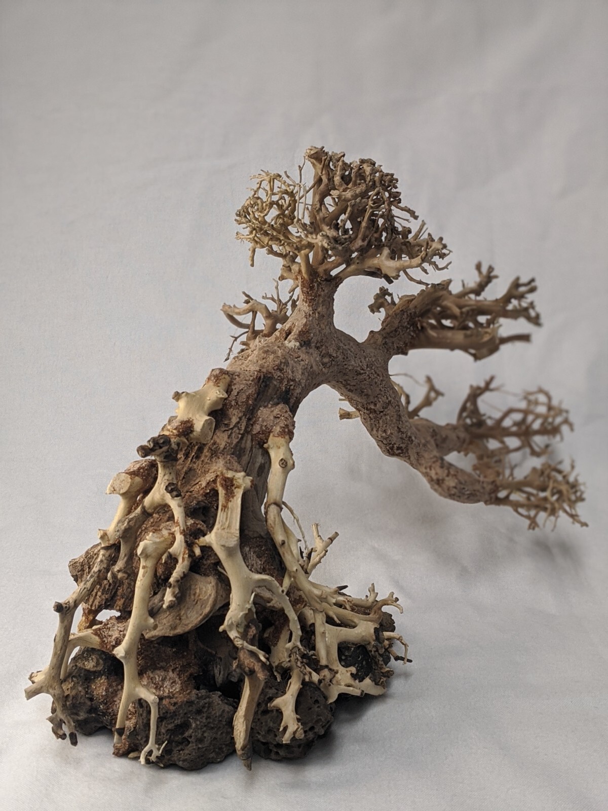 Natural Bonsai Driftwood Aquarium Tree eBay
