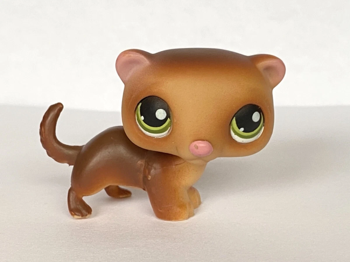 Lps ferret deals