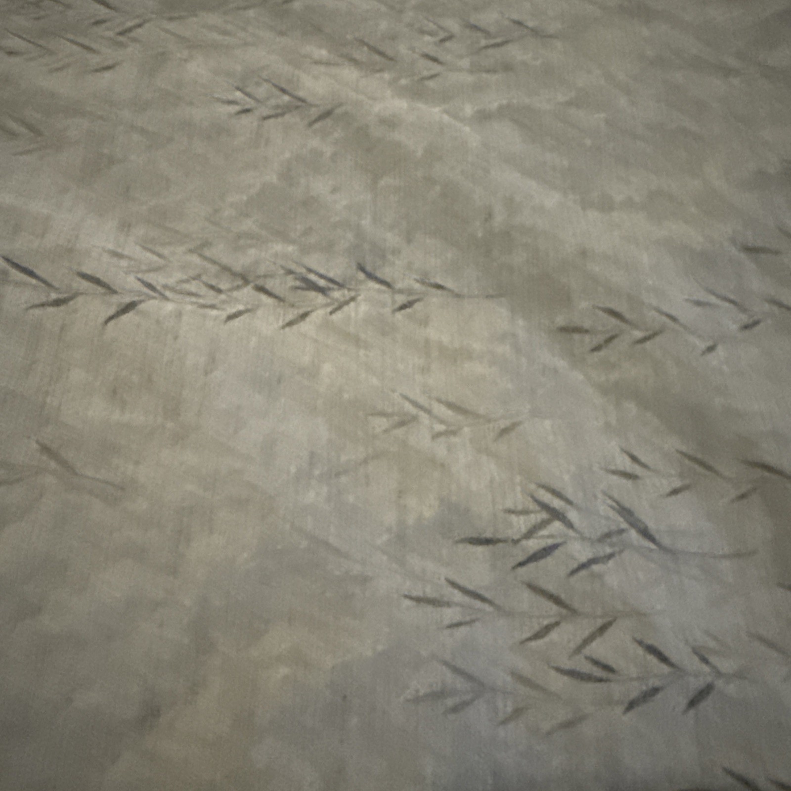 Calvin Klein Khaki Collection Dark Gray Standard Pillowcases thumbnail 2