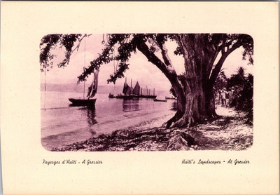 Vintage Haiti Jacmel Pier XL Postcard Large Tree by the Seaside Benoît Couba Ed
