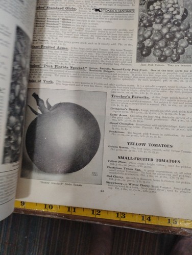 1912 Antique Seed Catalog Walter STOKES Stokes Standard Seeds - Picture 3 of 8
