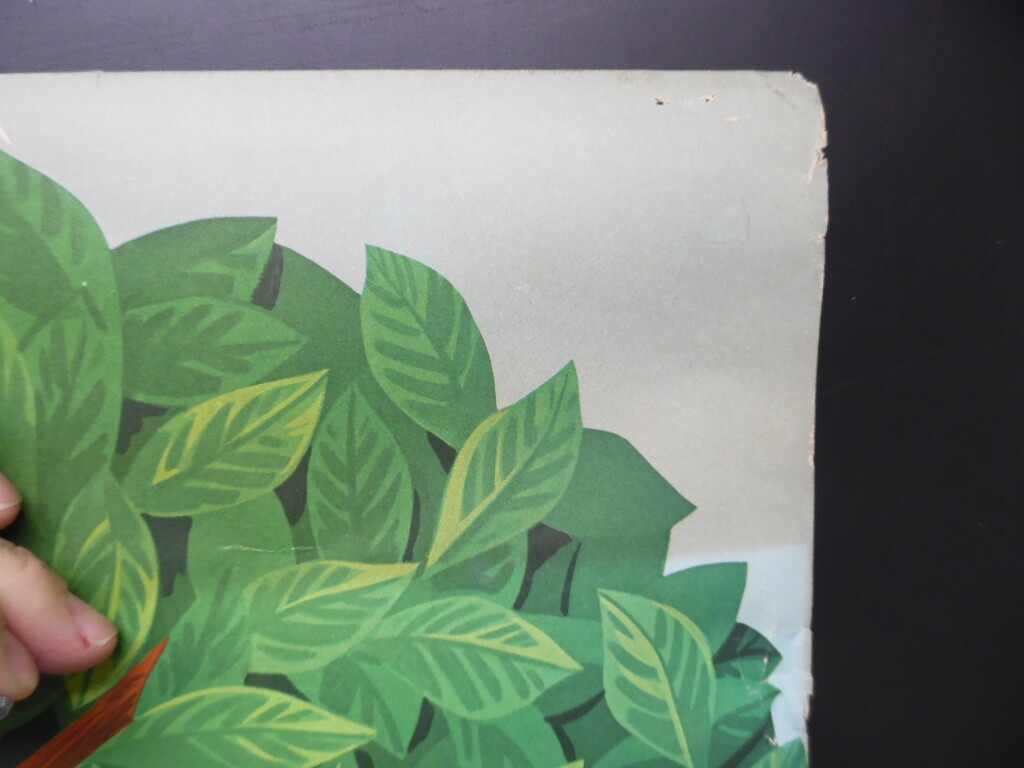 Picture 6 of 9