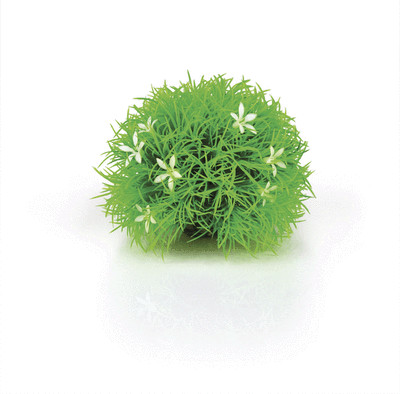 Oase biOrb Gewächsball Gänseblümchen Dekoration