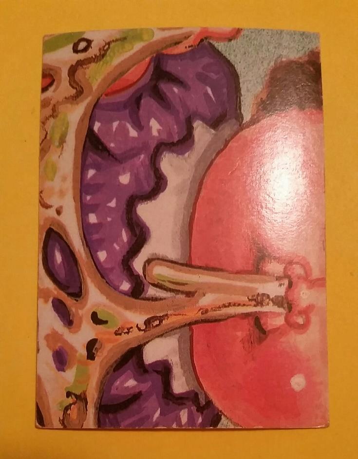 Picture 2 of 2