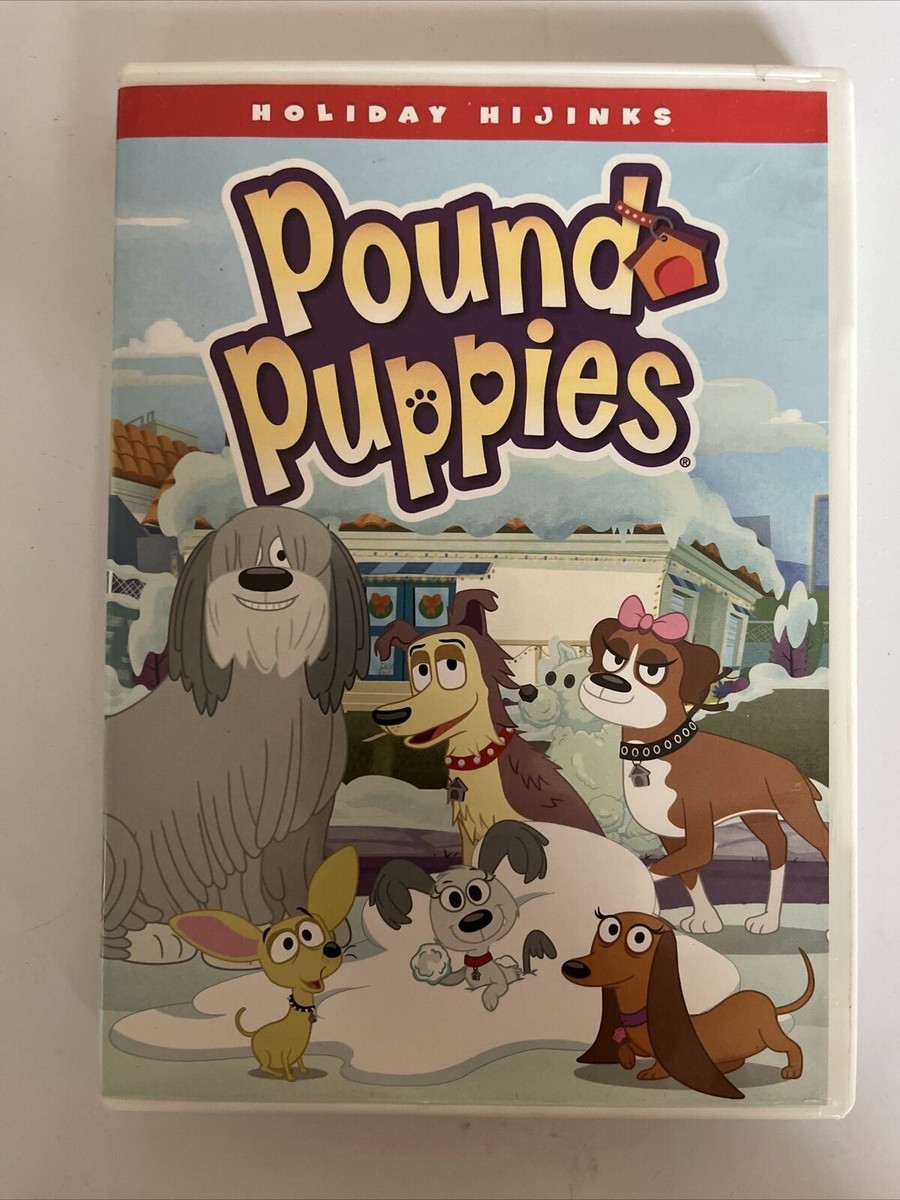 Pound Puppies (DVD) Region
