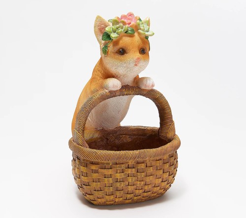 Evergreen,Planter,Succulent Planter Basket, , Cat