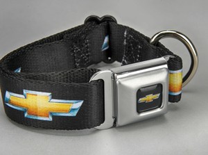 chevy dog collar