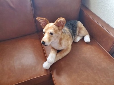 Red Heeler / Cattledog Custom made Cuddle Clone Plush