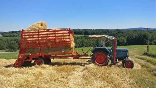 Krone Optimat Alleslader - Der erste Ladewagen DAS ORIGINAL - Bild 4 von 4
