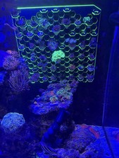 Reef Frag Rack - Huge Vertical Magnetic -
