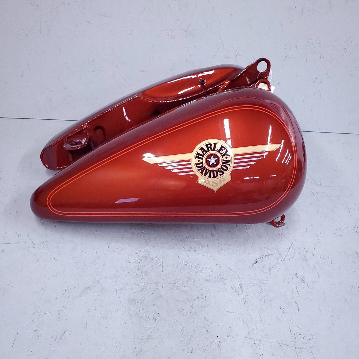 【fatboy.go.go.go】 1S34DB_new2023.jpg