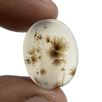 Natural Rare Scenic Dendritic Agate Cabochon Gemstone Shazar Dendritic Stone