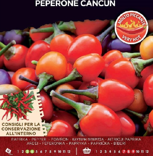 Peperone Nostrano Piacentino "Goccia D′Oro" - Vendita Piante Online - Foto 2