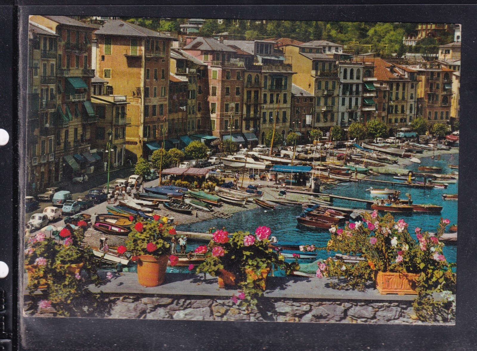 Cartolina Santa Margherita Ligure il Porto G2000A