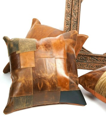 cushion between vertebrae