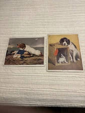 Vintage Pair of Mid Century Lithographic Prints of Dogs Series by W. C. Co.