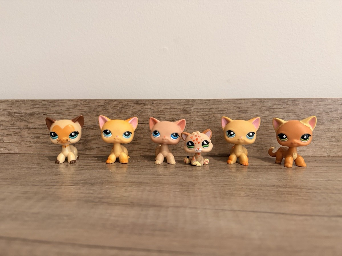 リトルペットショップ Littlestpetshop 猫6 Littlest Pet Shop LPS 6pc Cats Rare | eBay