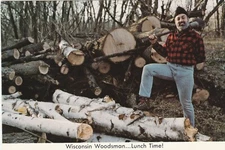 Madison Wisconsin Woodsman...Lunch Time! souvenir Postcard