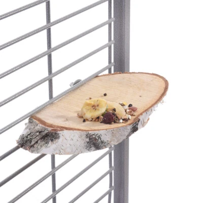 HAPPYBIRD Sitzbrett für Vögel Sitzbrettchen Birkenscheibe Baumscheibe oval ca. 23-28 x 3cm