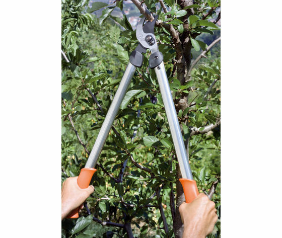 Troncarami Stocker Lowe Bypass 65 Cm - 2