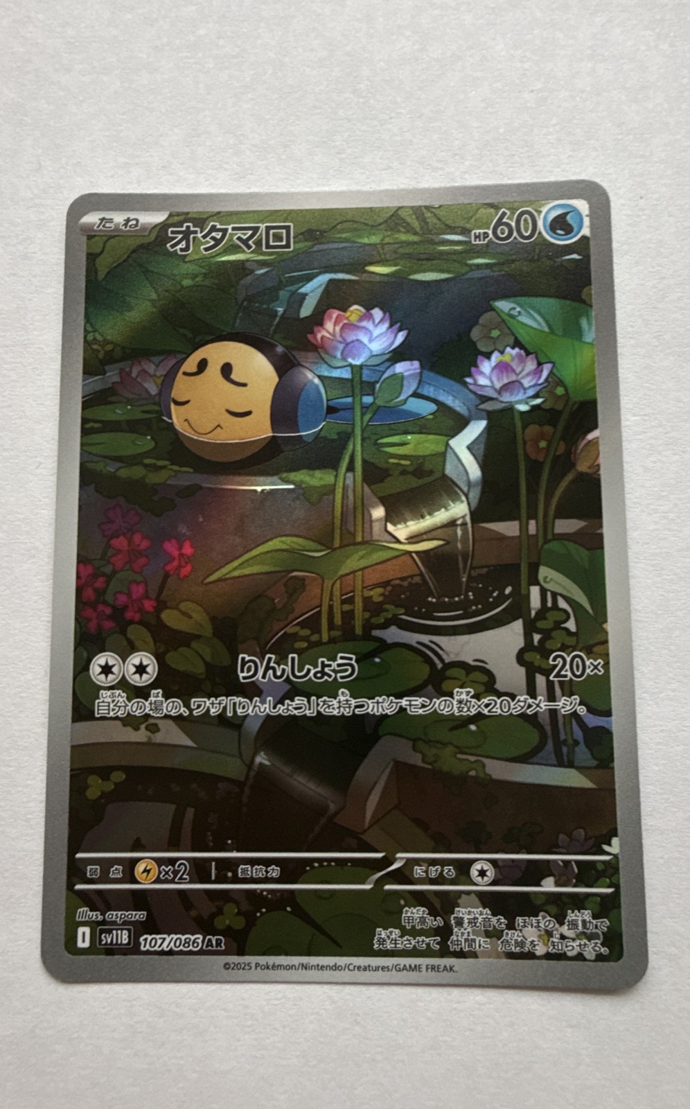Tympole 107/086 SV11B: Black Bolt Holo (Japanese) US SELLER