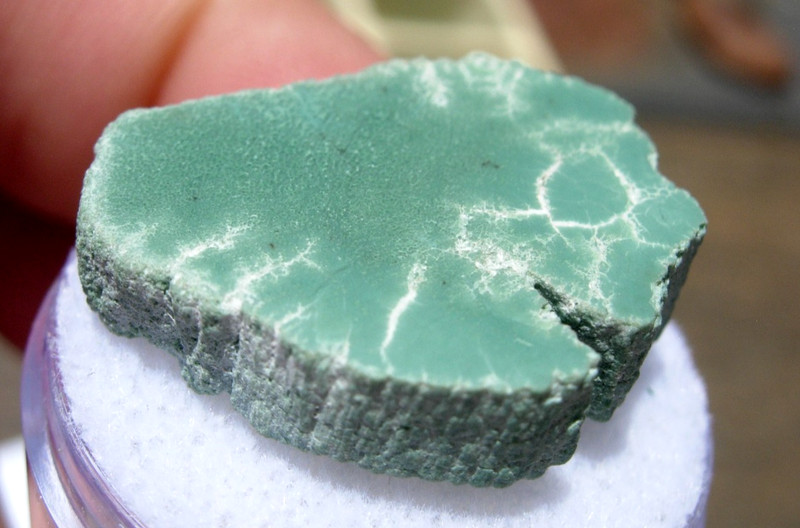 4.01 grams Polished End Cut Green CHROMIUM Petrified Wood from Winslow ARIZONA