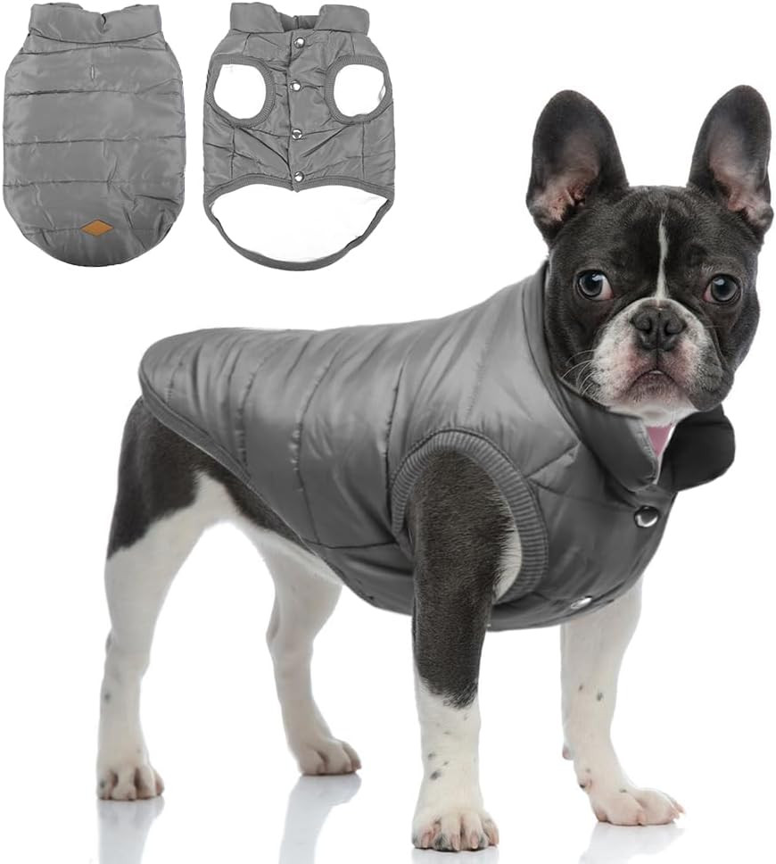 Cappotto Invernale per Cani - Giacca Calda e Impermeabile Imbottita