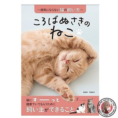 Die Katze, die nie fällt - Wie man eine kranke Katze aufzieht -