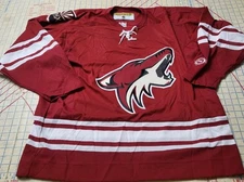 Vintage Koho Air Knit Arizona Phoenix Coyotes Stitched NHL Team Jersey Size L 