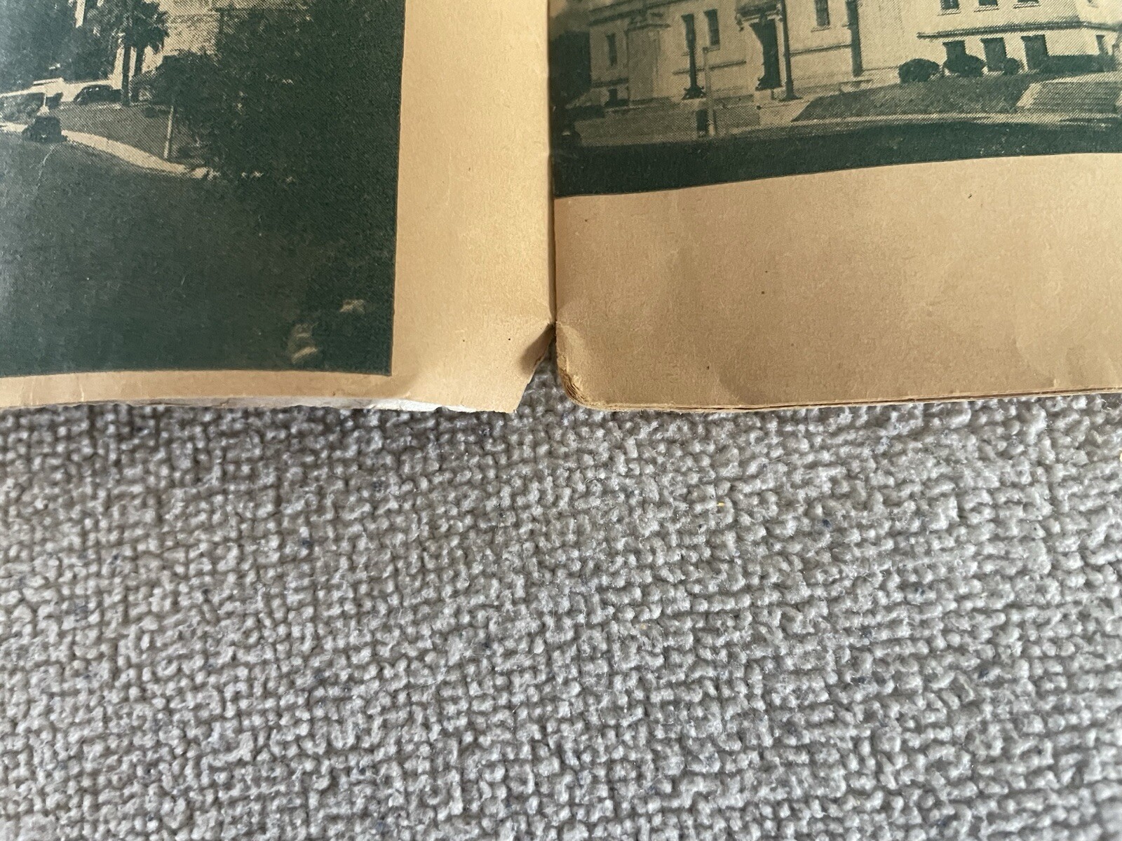 Picture 19 of 20
