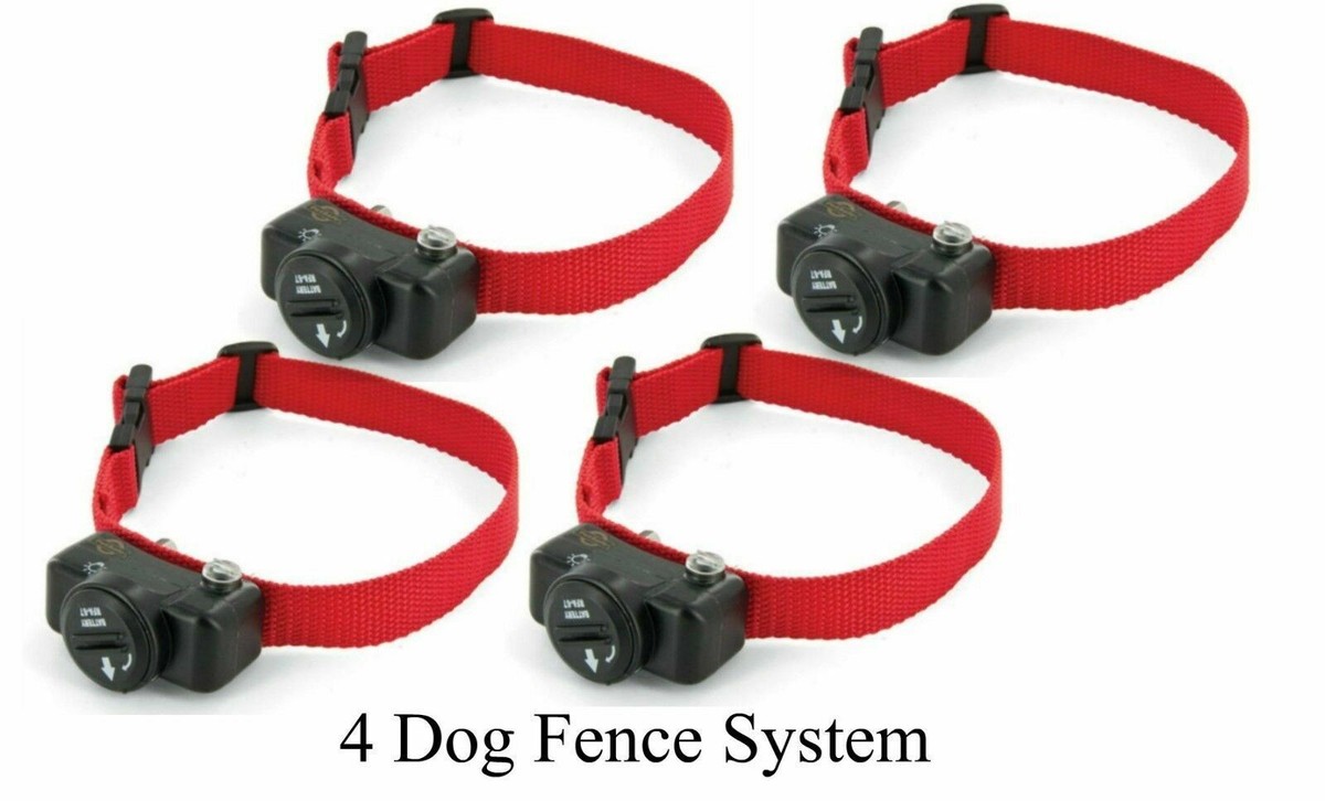 Petsafe In Ground Dog Fence Kit 1000' 14 Gauge Wire PIG00-13661 1