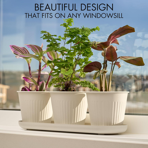Beautiful Herb Garden Planter Indoor Set of 3 - Perfect for Any Kitchen Window S - Picture 3 of 7