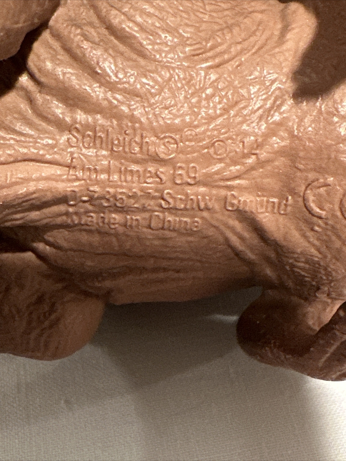Picture 9 of 9
