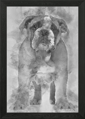 Englische Bulldogge Welpe 2 ein gerahmtes Wandbild Poster Leinwanddruck Bild
