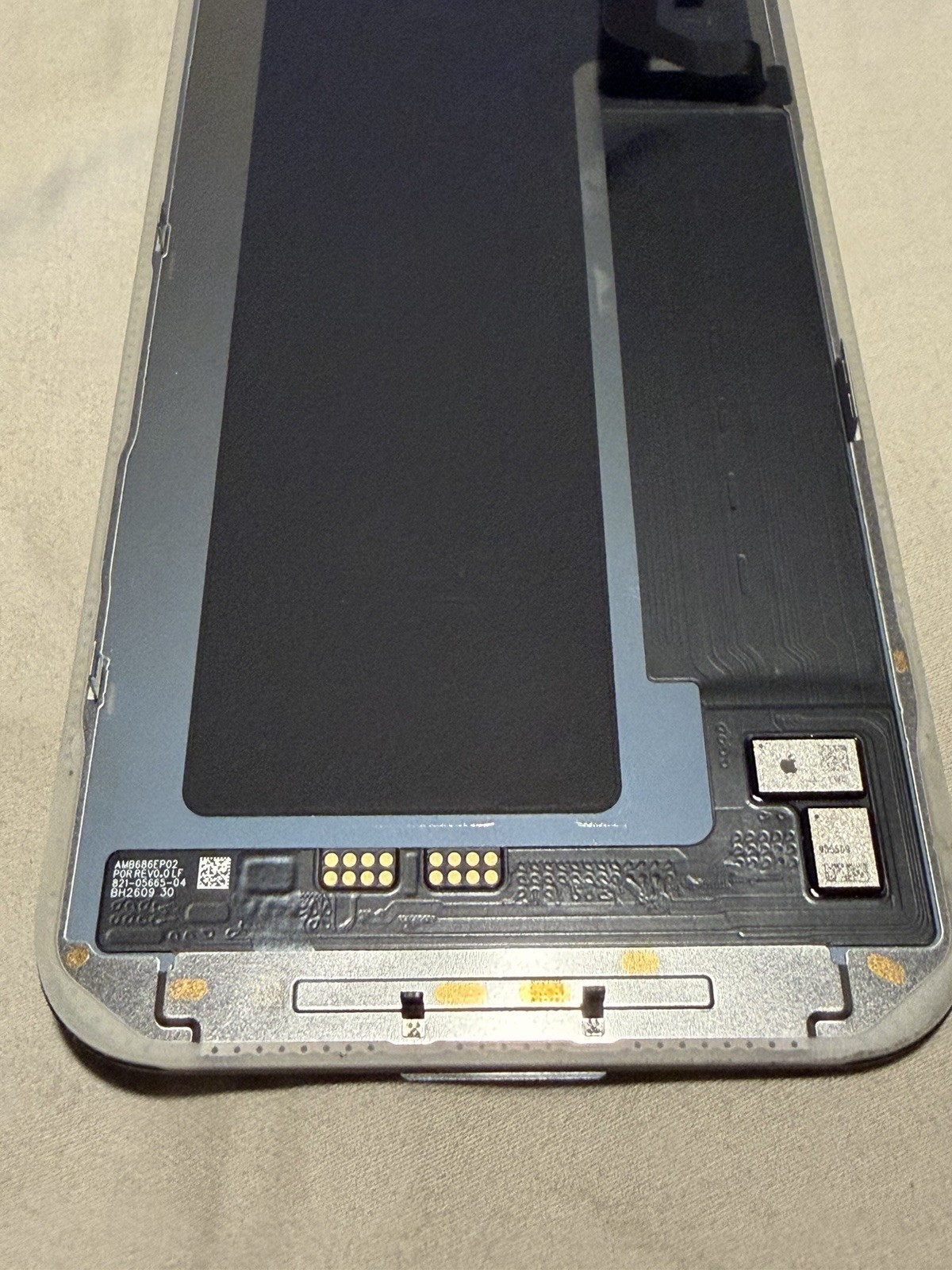 Picture 4